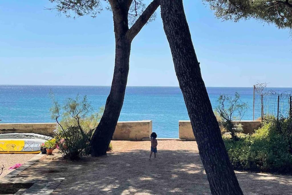 Cocon Les Pieds Dans L'Eau Acces Direct A La Mer La Ciotat Exterior foto